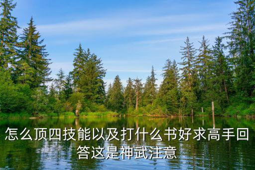 神武手游4技能单法怎么打书，怎么顶四技能以及打什么书好求高手回答这是神武注意