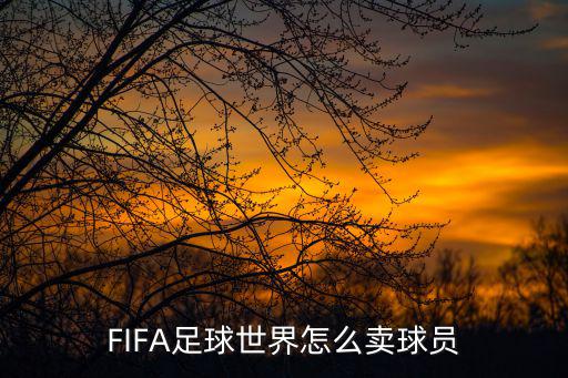 FIFA足球世界怎么卖球员