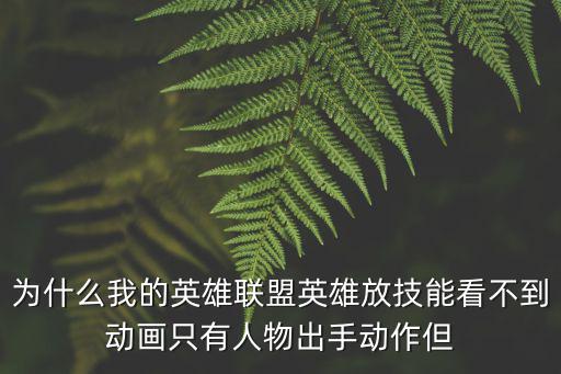 为什么我的英雄联盟英雄放技能看不到动画只有人物出手动作但