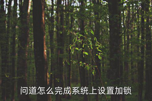 问道怎么完成系统上设置加锁