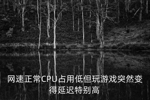 玩火影手游延迟特别高怎么回事，网速正常CPU占用低但玩游戏突然变得延迟特别高