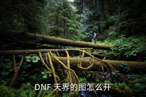 DNF 天界的图怎么开