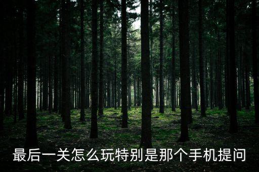 最后一关怎么玩特别是那个手机提问