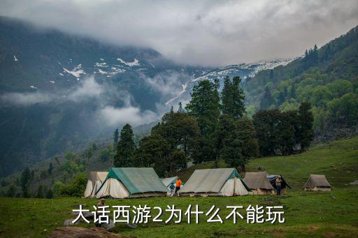 大话西游2为什么不能玩