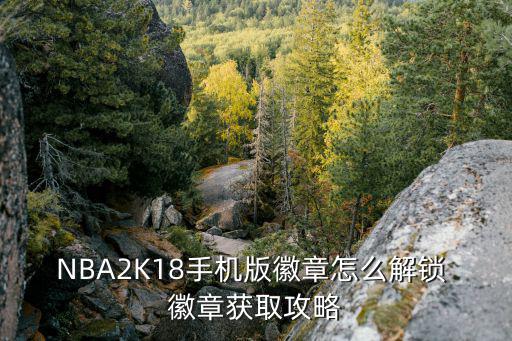 NBA2K18手机版徽章怎么解锁 徽章获取攻略