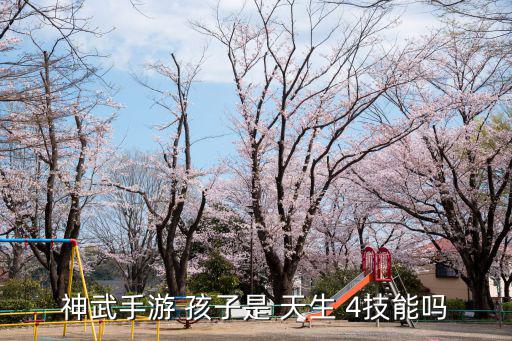 神武手游 孩子是 天生 4技能吗
