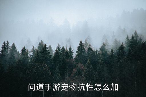 问道手游魔化朱雀抗性点怎么加，问道手游宠物点化后属性点和抗性能不能重新加