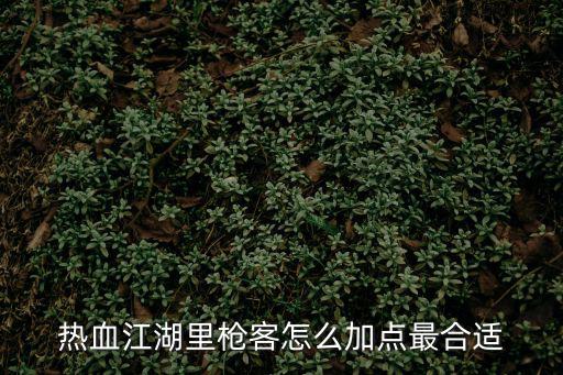 热血江湖手游枪客属性点怎么加，热血江湖枪客 加点方法