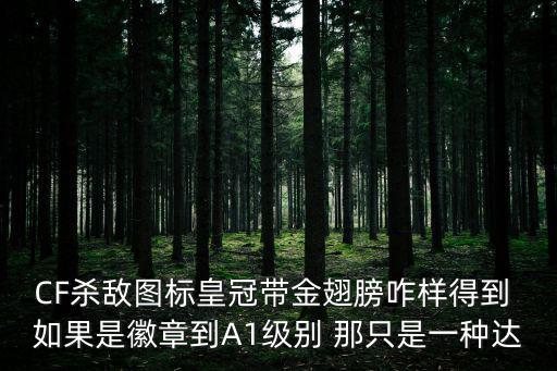 CF杀敌图标皇冠带金翅膀咋样得到 如果是徽章到A1级别 那只是一种达