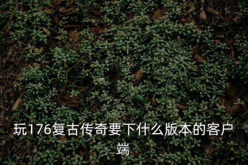 玩176复古传奇要下什么版本的客户端