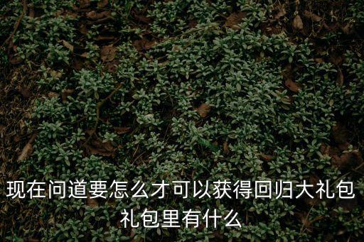 现在问道要怎么才可以获得回归大礼包礼包里有什么