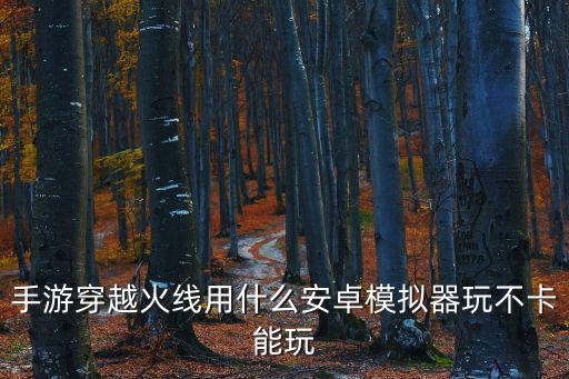 手游穿越火线用什么安卓模拟器玩不卡能玩