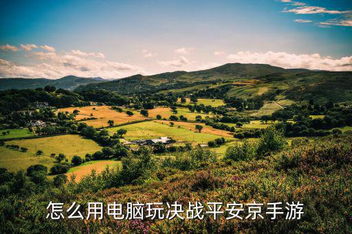 怎么用电脑玩决战平安京手游