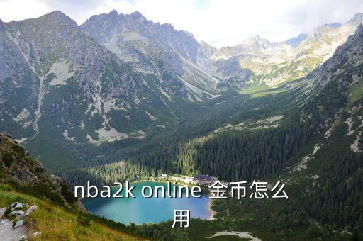 nba2k online 金币怎么用