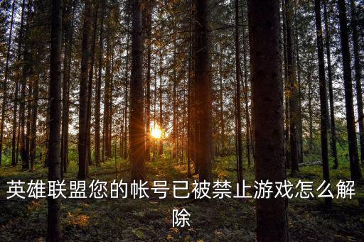 英雄联盟您的帐号已被禁止游戏怎么解除