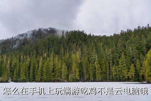怎么在手机上玩端游吃鸡不是云电脑哦