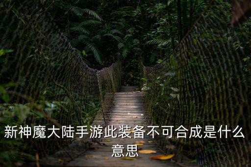 新神魔大陆手游装备怎么穿不上，我是新玩的为什么有些我能装备的东西却装备不了呢