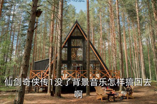 仙剑奇侠传1没了背景音乐怎样搞回去啊