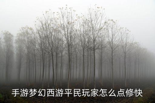 手游梦幻西游平民玩家怎么点修快