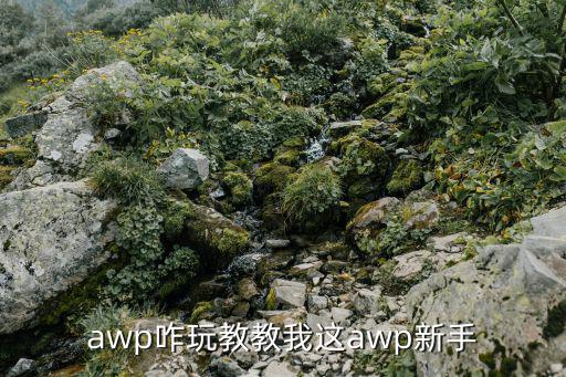 awp咋玩教教我这awp新手