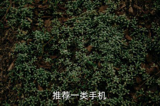 apex手游倍镜切换缩放怎么换，推荐一类手机