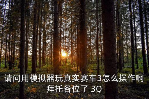 请问用模拟器玩真实赛车3怎么操作啊拜托各位了 3Q
