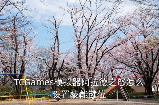 手游阿拉德之怒剑魂技能怎么改，TCGames模拟器阿拉德之怒怎么设置技能键位