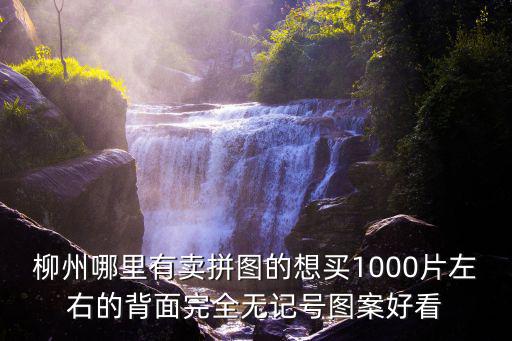 柳州哪里有卖拼图的想买1000片左右的背面完全无记号图案好看