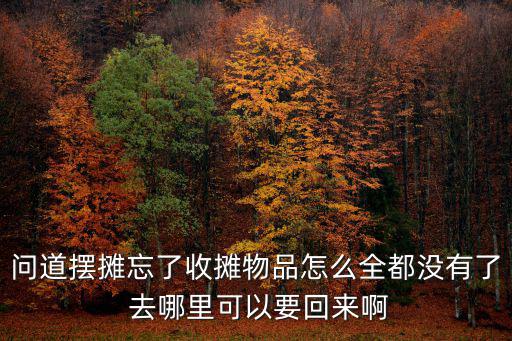问道摆摊忘了收摊物品怎么全都没有了 去哪里可以要回来啊