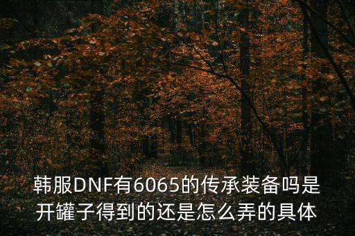 韩服DNF有6065的传承装备吗是开罐子得到的还是怎么弄的具体