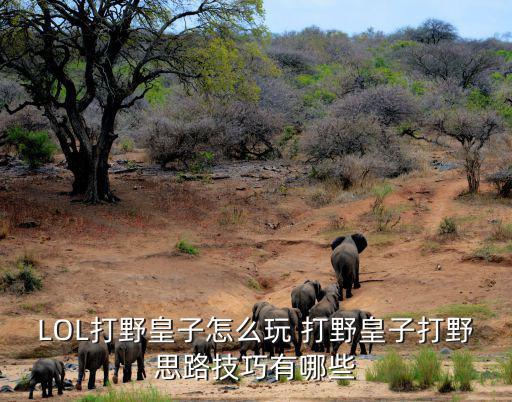 LOL打野皇子怎么玩 打野皇子打野思路技巧有哪些