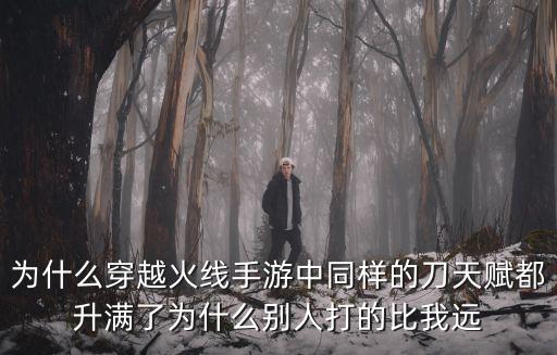 为什么穿越火线手游中同样的刀天赋都升满了为什么别人打的比我远