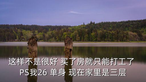 这样不是很好 买了房就只能打工了 PS我26 单身 现在家里是三层