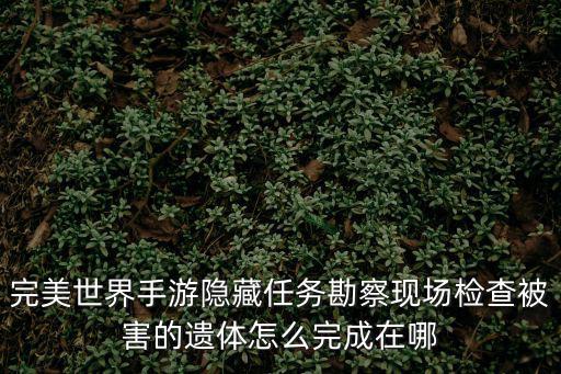 完美世界手游隐藏任务勘察现场检查被害的遗体怎么完成在哪