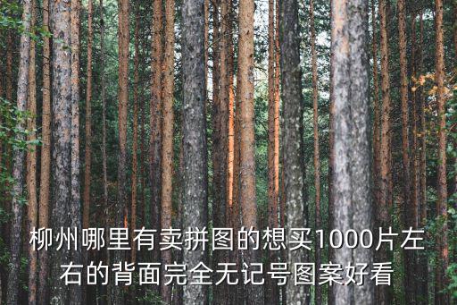 逃离塔科夫手游三层楼怎么出去，这样不是很好 买了房就只能打工了 PS我26 单身 现在家里是三层