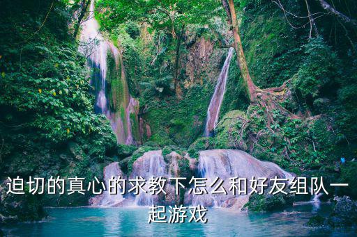 十三月手游怎么进组队，迫切的真心的求教下怎么和好友组队一起游戏