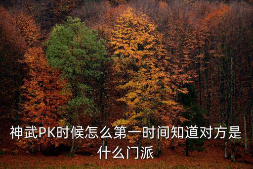 神武PK时候怎么第一时间知道对方是什么门派