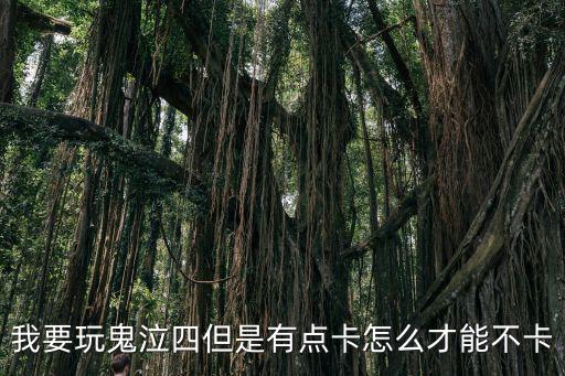 我要玩鬼泣四但是有点卡怎么才能不卡