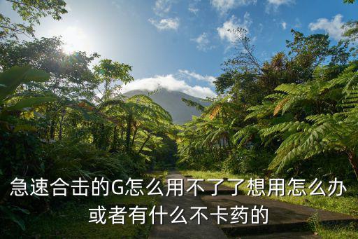急速合击的G怎么用不了了想用怎么办或者有什么不卡药的