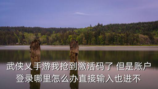 武侠乂手游怎么卡角色，怎样进去好卡人物也看不到