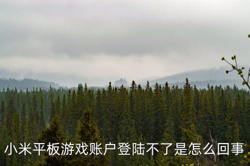 小米平板游戏账户登陆不了是怎么回事