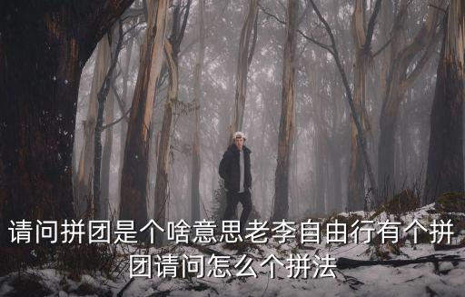 请问拼团是个啥意思老李自由行有个拼团请问怎么个拼法