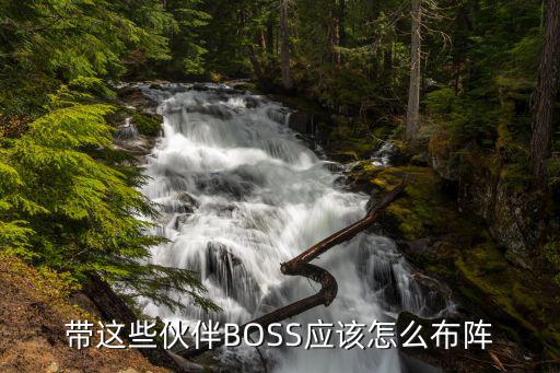 带这些伙伴BOSS应该怎么布阵