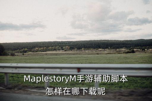 MaplestoryM手游辅助脚本怎样在哪下载呢