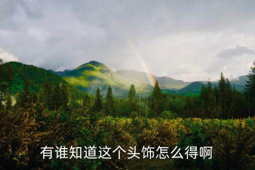 有谁知道这个头饰怎么得啊