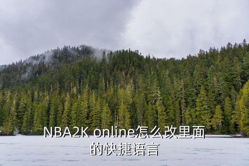 NBA2K online怎么改里面的快捷语言