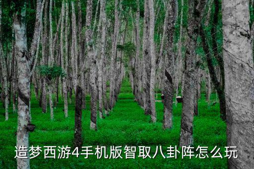 造梦西游4手机版智取八卦阵怎么玩