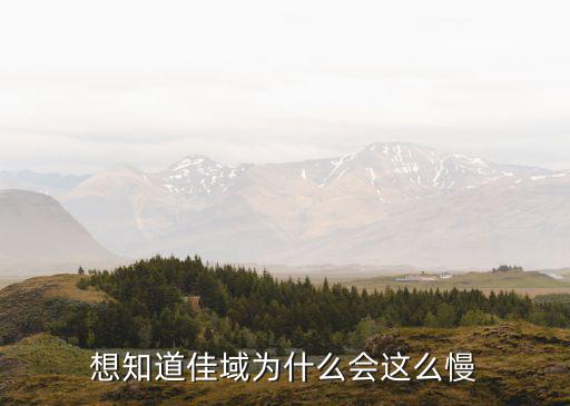 想知道佳域为什么会这么慢