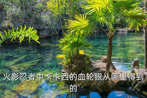 火影忍者中卡卡西的血轮眼从哪里得到的