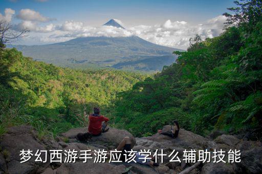 梦幻手游辅助技能怎么样，关于梦幻辅助技能的一点问题